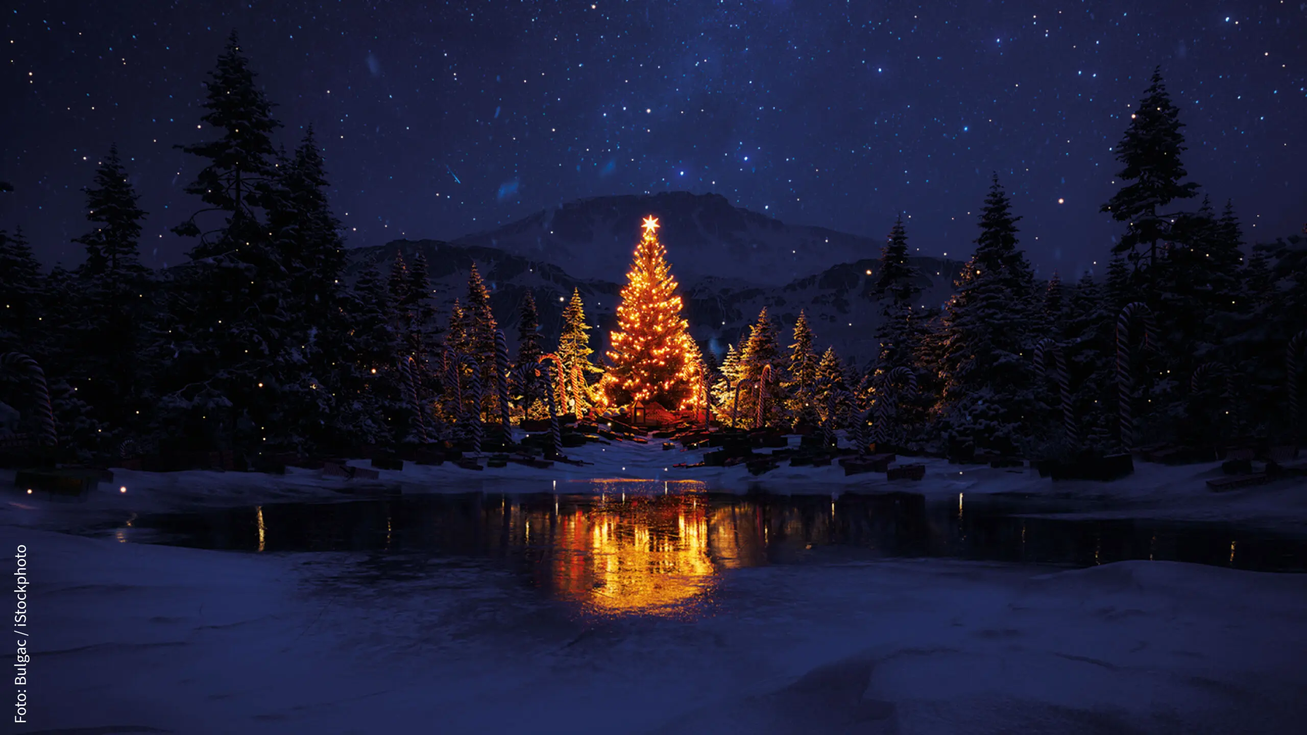 Foto: Bulgac / iStockphoto